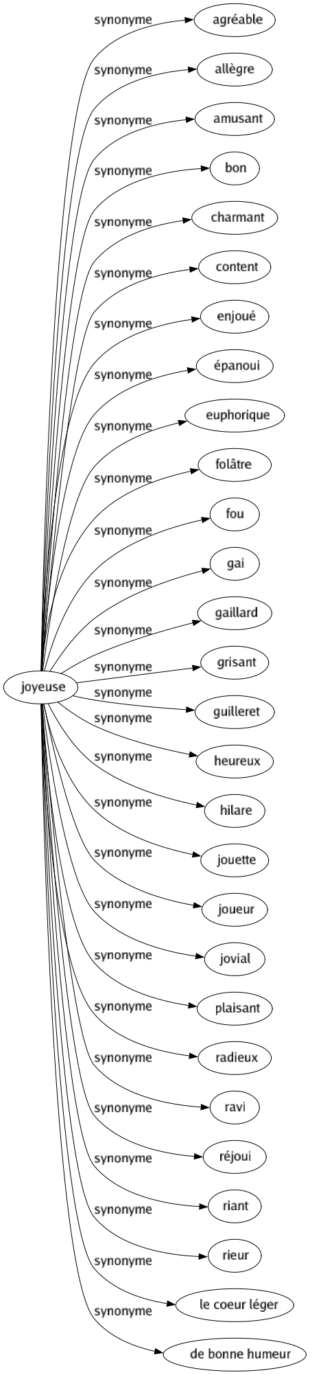 Synonyme de Joyeuse : Agréable Allègre Amusant Bon Charmant Content Enjoué Épanoui Euphorique Folâtre Fou Gai Gaillard Grisant Guilleret Heureux Hilare Jouette Joueur Jovial Plaisant Radieux Ravi Réjoui Riant Rieur Le coeur léger De bonne humeur 