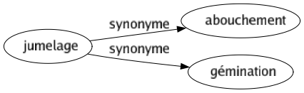 Synonyme de Jumelage : Abouchement Gémination 