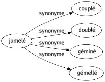Synonyme de Jumelé : Couplé Doublé Géminé Gémellé 