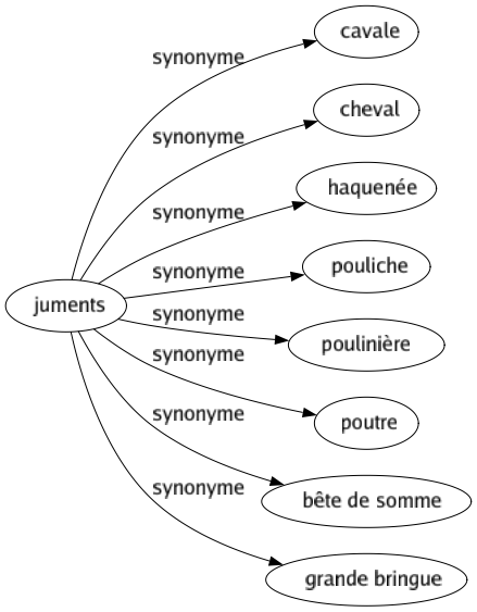 Synonyme de Juments : Cavale Cheval Haquenée Pouliche Poulinière Poutre Bête de somme Grande bringue 