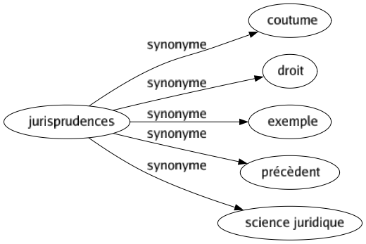 Synonyme de Jurisprudences : Coutume Droit Exemple Précèdent Science juridique 