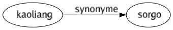 Synonyme de Kaoliang : Sorgo 