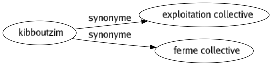 Synonyme de Kibboutzim : Exploitation collective Ferme collective 