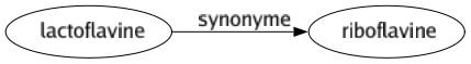 Synonyme de Lactoflavine : Riboflavine 