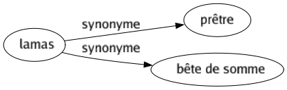 Synonyme de Lamas : Prêtre Bête de somme 