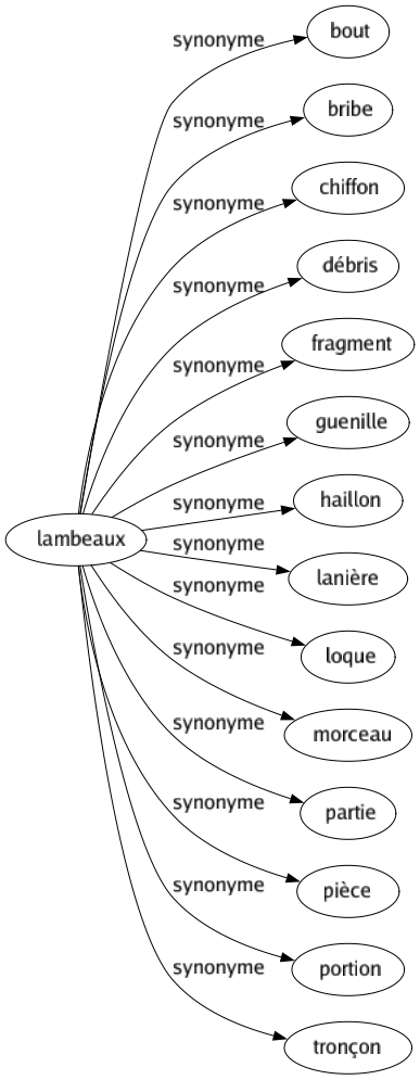 Synonyme de Lambeaux : Bout Bribe Chiffon Débris Fragment Guenille Haillon Lanière Loque Morceau Partie Pièce Portion Tronçon 