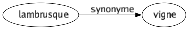 Synonyme de Lambrusque : Vigne 