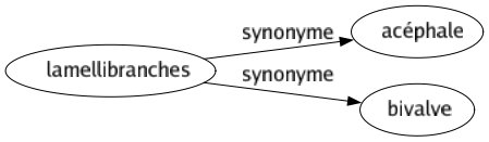 Synonyme de Lamellibranches : Acéphale Bivalve 