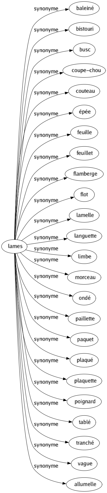 Synonyme de Lames : Baleiné Bistouri Busc Coupe-chou Couteau Épée Feuille Feuillet Flamberge Flot Lamelle Languette Limbe Morceau Ondé Paillette Paquet Plaqué Plaquette Poignard Tablé Tranché Vague Allumelle 