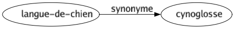 Synonyme de Langue-de-chien : Cynoglosse 