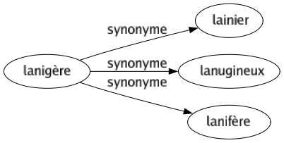 Synonyme de Lanigère : Lainier Lanugineux Lanifère 