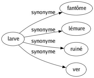 Synonyme de Larve : Fantôme Lémure Ruiné Ver 