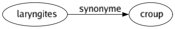 Synonyme de Laryngites : Croup 