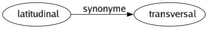 Synonyme de Latitudinal : Transversal 