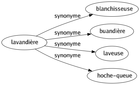 Synonyme de Lavandière : Blanchisseuse Buandière Laveuse Hoche-queue 