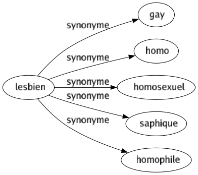 Synonyme de Lesbien : Gay Homo Homosexuel Saphique Homophile 