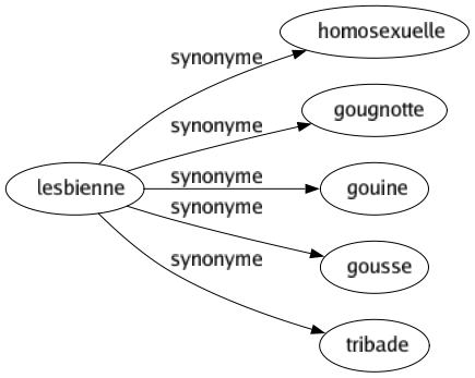 Synonyme de Lesbienne : Homosexuelle Gougnotte Gouine Gousse Tribade 