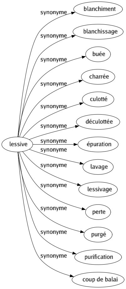 Synonyme de Lessive : Blanchiment Blanchissage Buée Charrée Culotté Déculottée Épuration Lavage Lessivage Perte Purgé Purification Coup de balai 