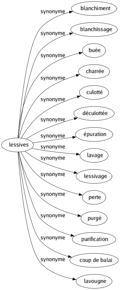 Synonyme de Lessives : Blanchiment Blanchissage Buée Charrée Culotté Déculottée Épuration Lavage Lessivage Perte Purgé Purification Coup de balai Lavougne 