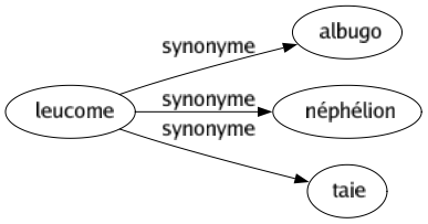 Synonyme de Leucome : Albugo Néphélion Taie 