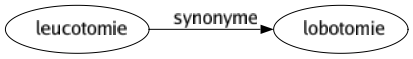 Synonyme de Leucotomie : Lobotomie 