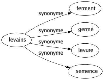 Synonyme de Levains : Ferment Germé Levure Semence 