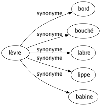 Synonyme de Lèvre : Bord Bouché Labre Lippe Babine 