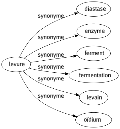Synonyme de Levure : Diastase Enzyme Ferment Fermentation Levain Oïdium 