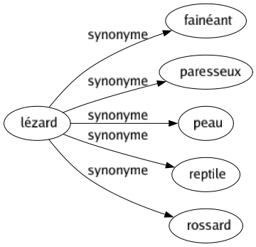 Synonyme de Lézard : Fainéant Paresseux Peau Reptile Rossard 