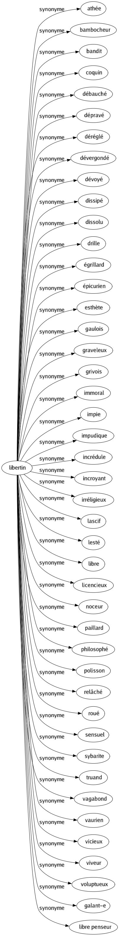 Synonyme de Libertin : Athée Bambocheur Bandit Coquin Débauché Dépravé Déréglé Dévergondé Dévoyé Dissipé Dissolu Drille Égrillard Épicurien Esthète Gaulois Graveleux Grivois Immoral Impie Impudique Incrédule Incroyant Irréligieux Lascif Lesté Libre Licencieux Noceur Paillard Philosophé Polisson Relâché Roué Sensuel Sybarite Truand Vagabond Vaurien Vicieux Viveur Voluptueux Galant-e Libre penseur 