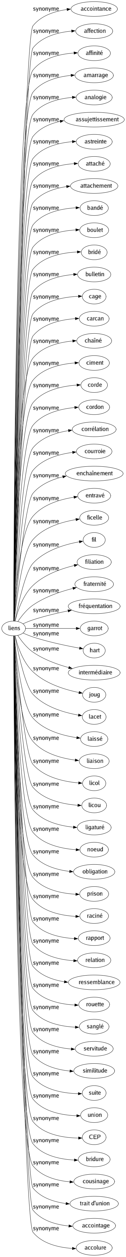 Synonyme de Liens : Accointance Affection Affinité Amarrage Analogie Assujettissement Astreinte Attaché Attachement Bandé Boulet Bridé Bulletin Cage Carcan Chaîné Ciment Corde Cordon Corrélation Courroie Enchaînement Entravé Ficelle Fil Filiation Fraternité Fréquentation Garrot Hart Intermédiaire Joug Lacet Laissé Liaison Licol Licou Ligaturé Noeud Obligation Prison Raciné Rapport Relation Ressemblance Rouette Sanglé Servitude Similitude Suite Union Cep Bridure Cousinage Trait d'union Accointage Accolure 