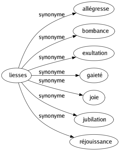 Synonyme de Liesses : Allégresse Bombance Exultation Gaieté Joie Jubilation Réjouissance 