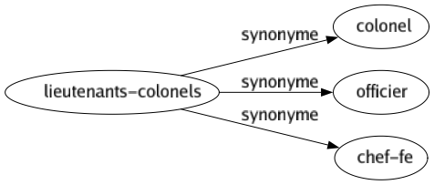 Synonyme de Lieutenants-colonels : Colonel Officier Chef-fe 