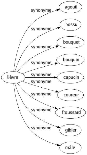 Synonyme de Lièvre : Agouti Bossu Bouquet Bouquin Capucin Coureur Froussard Gibier Mâle 