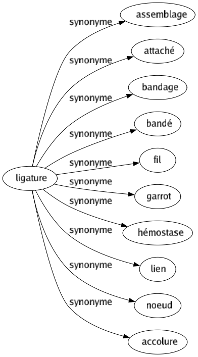 Synonyme de Ligature : Assemblage Attaché Bandage Bandé Fil Garrot Hémostase Lien Noeud Accolure 