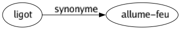 Synonyme de Ligot : Allume-feu 