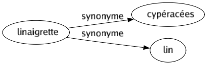 Synonyme de Linaigrette : Cypéracées Lin 