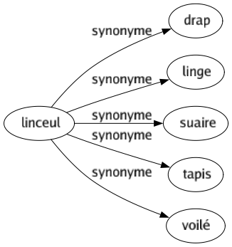 Synonyme de Linceul : Drap Linge Suaire Tapis Voilé 