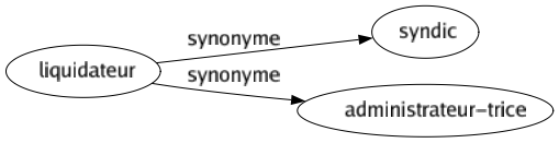 Synonyme de Liquidateur : Syndic Administrateur-trice 