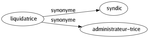 Synonyme de Liquidatrice : Syndic Administrateur-trice 