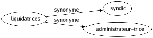 Synonyme de Liquidatrices : Syndic Administrateur-trice 