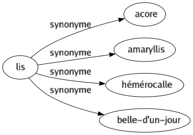 Synonyme de Lis : Acore Amaryllis Hémérocalle Belle-d'un-jour 