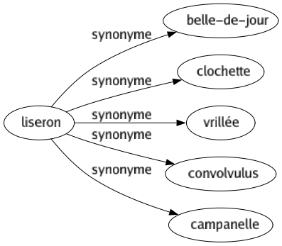 Synonyme de Liseron : Belle-de-jour Clochette Vrillée Convolvulus Campanelle 