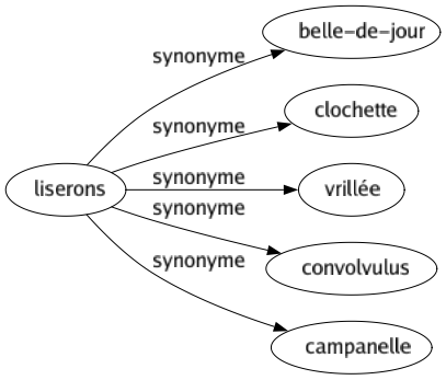 Synonyme de Liserons : Belle-de-jour Clochette Vrillée Convolvulus Campanelle 