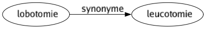 Synonyme de Lobotomie : Leucotomie 