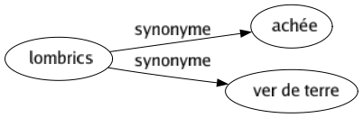 Synonyme de Lombrics : Achée Ver de terre 