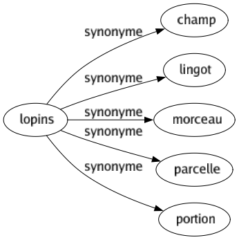 Synonyme de Lopins : Champ Lingot Morceau Parcelle Portion 