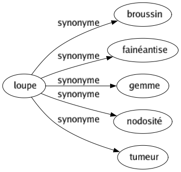 Synonyme de Loupe : Broussin Fainéantise Gemme Nodosité Tumeur 