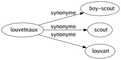 Synonyme de Louveteaux : Boy-scout Scout Louvart 