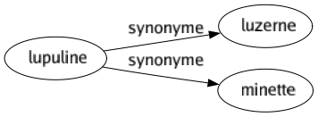 Synonyme de Lupuline : Luzerne Minette 